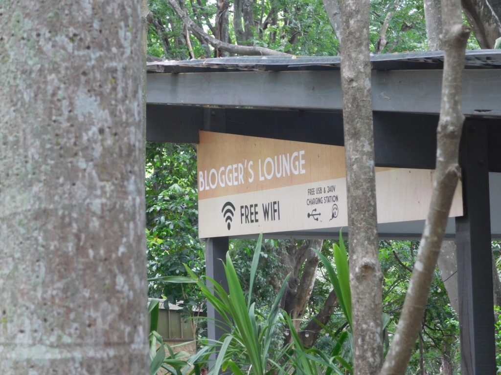 lone pine koala sanctuary in brisbane