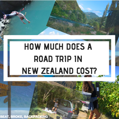 How Much Does a New Zealand road trip cost? New Zealand Budget post