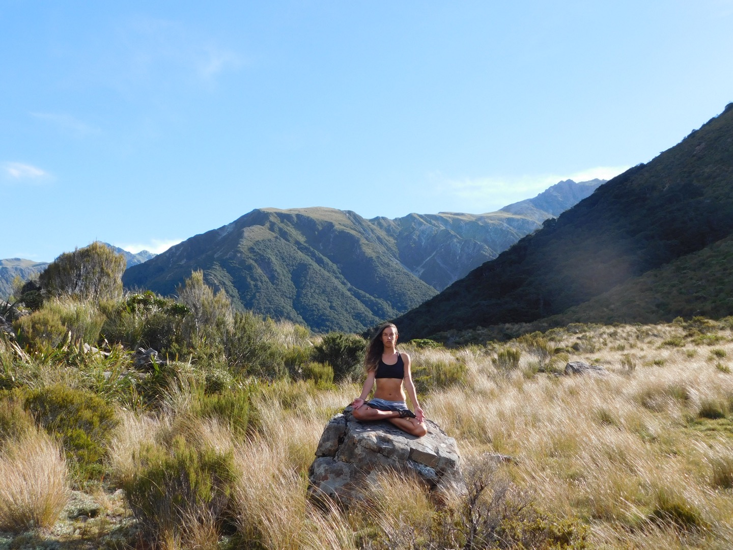 Arthur's Pass, South Island New Zealand