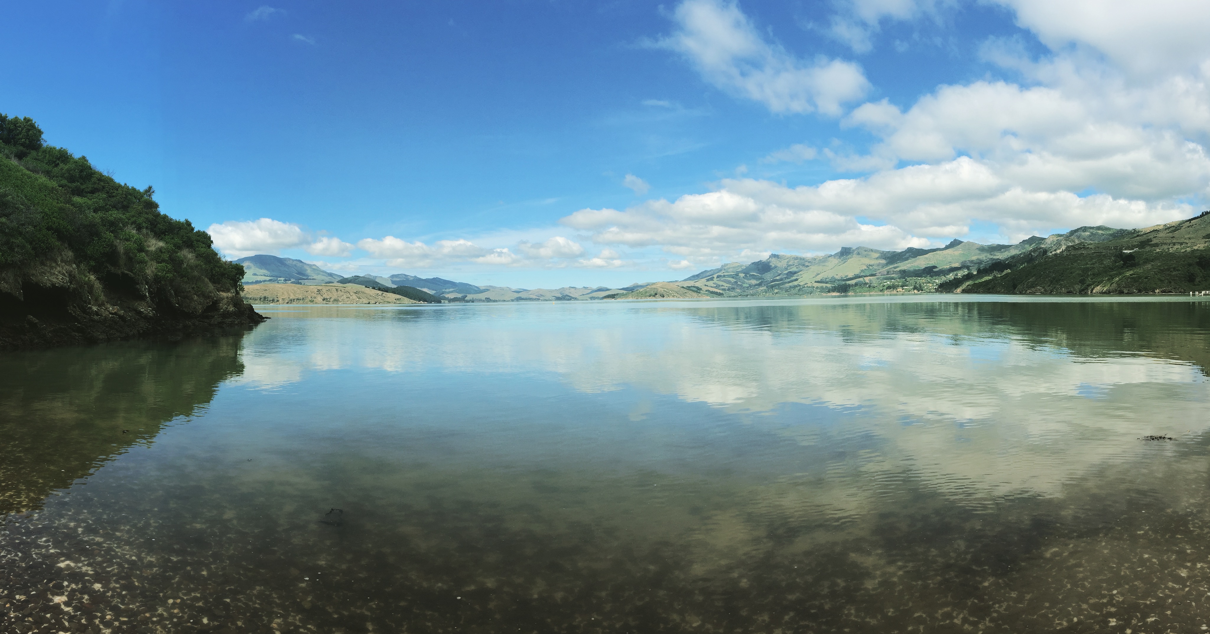 rapaki bay, christchurch new zealand