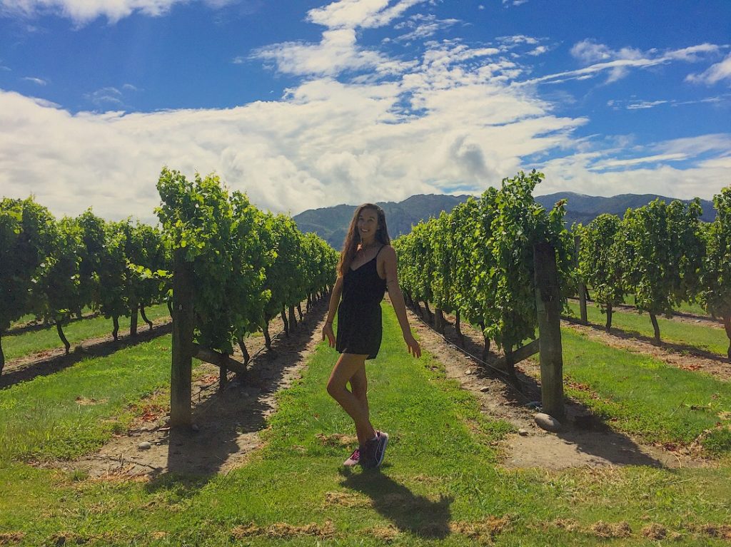 Wairau Valley Wine Tour New Zealand