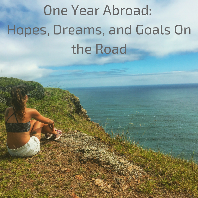 One Year Abroad_ Hopes, Dreams, and Goals On the Road